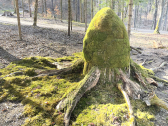 Vogelparadies am Kreuzbergl