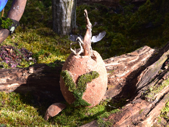 Vogelparadies am Kreuzbergl