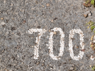 700