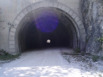 Tunnel