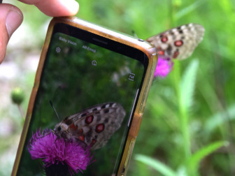 Naturerlebnis