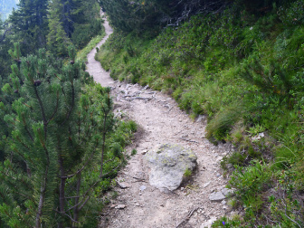 Kamm
