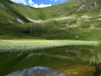 Pfannnocksee