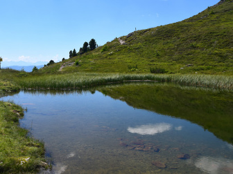 Pfannnocksee