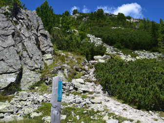 Felsen