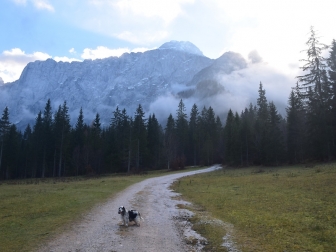Wanderung mit Hund
