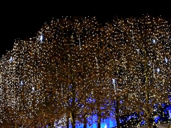 Weihnachten16